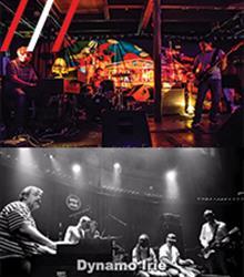 Black Tarantula + Dynamo Irie Black Tarantula + Dynamo Irie