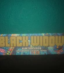 Black Widow The Band is een eclectisch duo dat modulaire synthesizers/elektronica combineert met live drums en trompet. Ze creëren een sonische bombarie waar elementen van house/bigbeat elkaar ontmoeten, gerelateerd aan jazz/fusion. Könst speelt sferische popmuziek ukeleles, pads, synths, beats en zang.