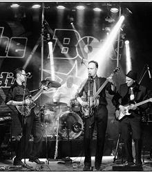 The Loving Art & The Netz Connection The Loving Art & The Netz Connection